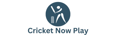 cricketnowplay.com